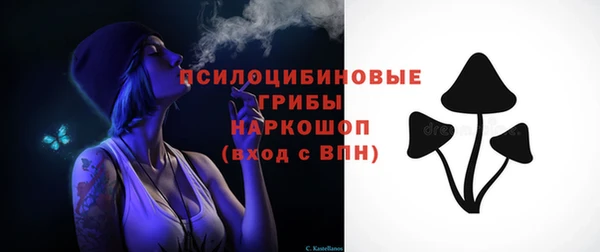 хмурый Алексеевка