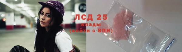 гидра Алексин