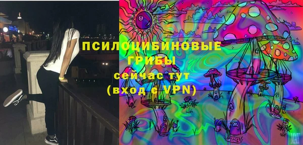 хмурый Алексеевка