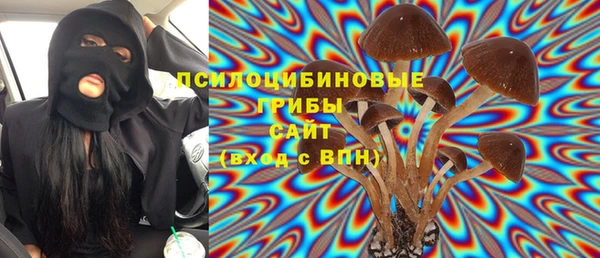 гидра Алексин