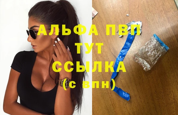 винт Новозыбков