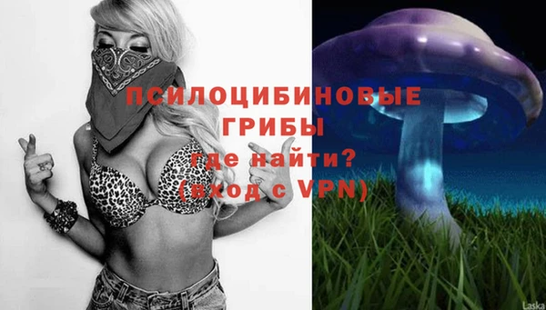 хмурый Алексеевка