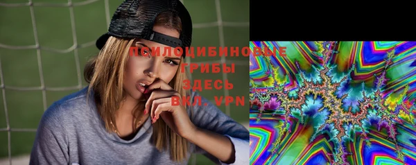 хмурый Алексеевка
