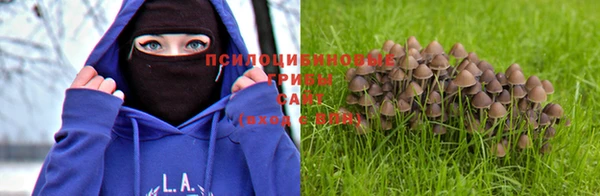 хмурый Алексеевка